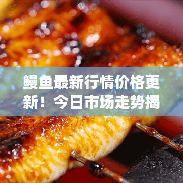鳗鱼最新行情价格更新！今日市场走势揭秘