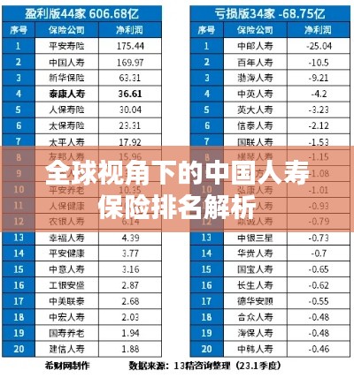 全球视角下的中国人寿保险排名解析