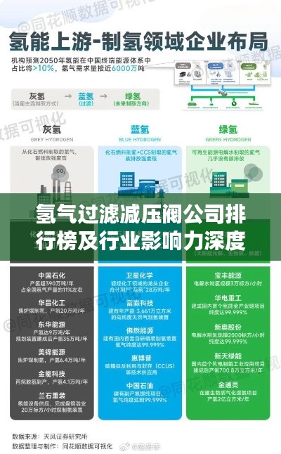 氢气过滤减压阀公司排行榜及行业影响力深度解析