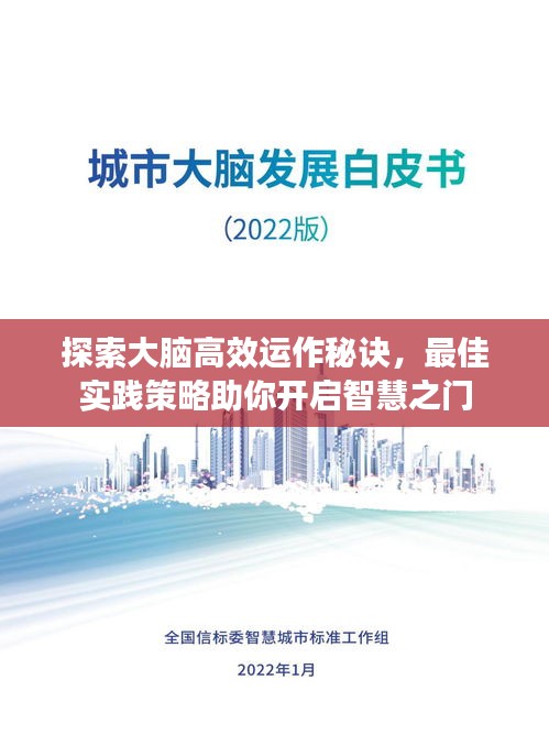 探索大脑高效运作秘诀，最佳实践策略助你开启智慧之门