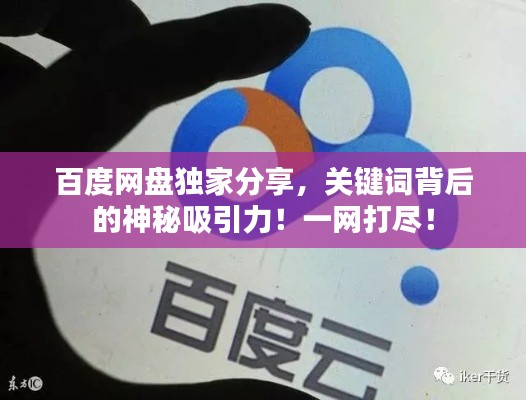 百度网盘独家分享，关键词背后的神秘吸引力！一网打尽！