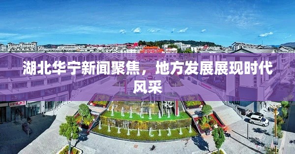 湖北华宁新闻聚焦，地方发展展现时代风采