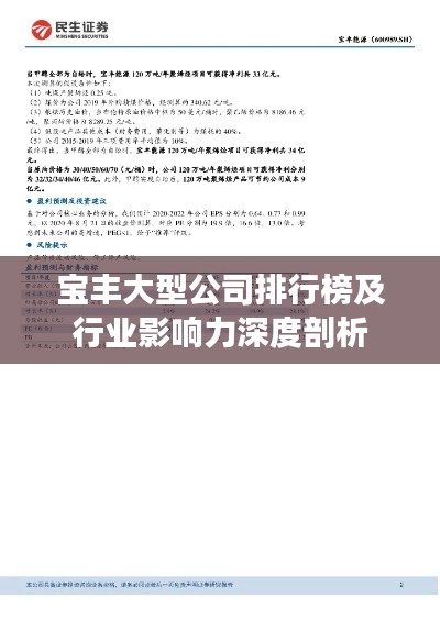 宝丰大型公司排行榜及行业影响力深度剖析