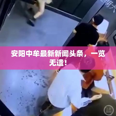 安阳中牟最新新闻头条，一览无遗！