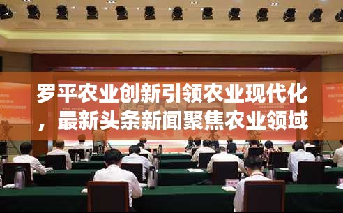 罗平农业创新引领农业现代化，最新头条新闻聚焦农业领域发展