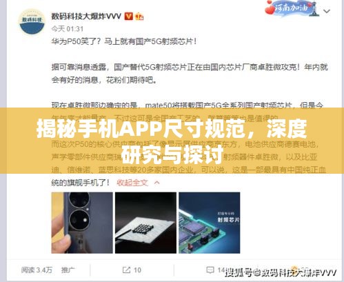 揭秘手机APP尺寸规范，深度研究与探讨