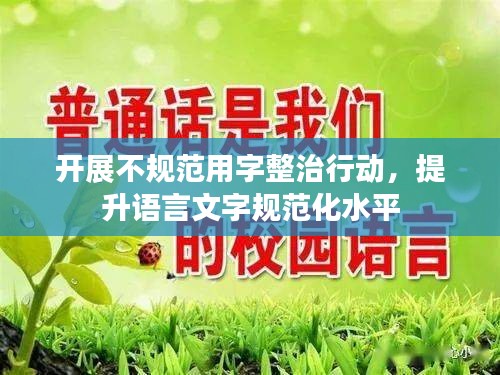 开展不规范用字整治行动，提升语言文字规范化水平