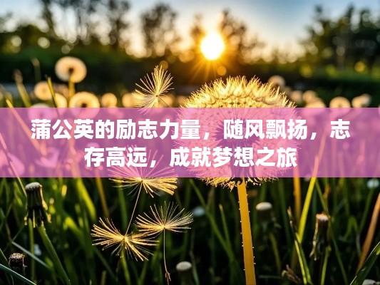 蒲公英的励志力量，随风飘扬，志存高远，成就梦想之旅