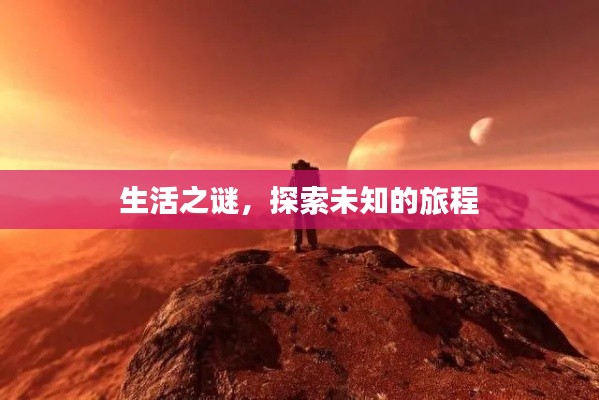 生活之谜，探索未知的旅程