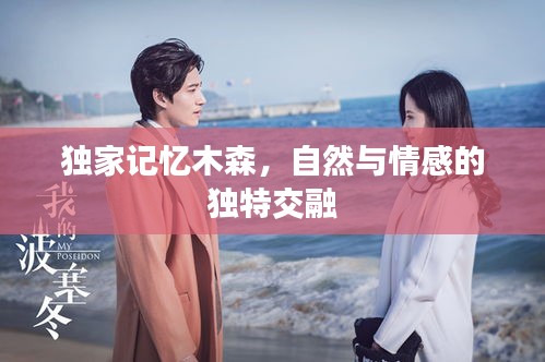 独家记忆木森，自然与情感的独特交融