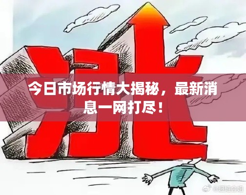 今日市场行情大揭秘，最新消息一网打尽！