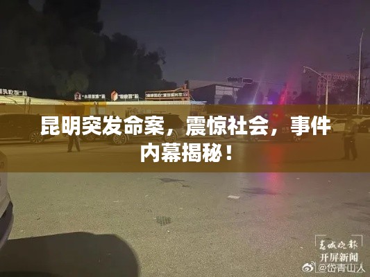 昆明突发命案，震惊社会，事件内幕揭秘！