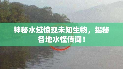 神秘水域惊现未知生物，揭秘各地水怪传闻！