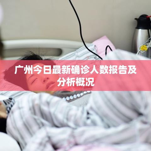 广州今日最新确诊人数报告及分析概况